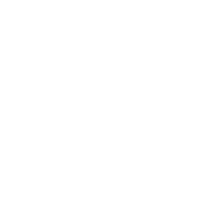 Software Engineering Services