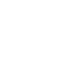 Web application development