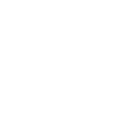 local seo services