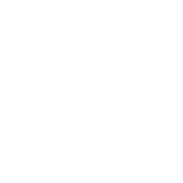 custom wordpress website design & development icon