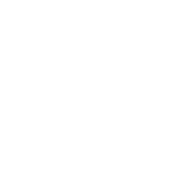 customization icon