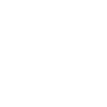 Web application development