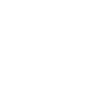 dedicated marketing team