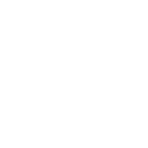 local seo services