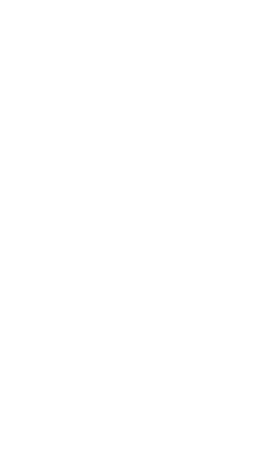 direct leadz logo