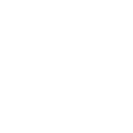 display-icon