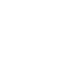 gogle-ads-icon