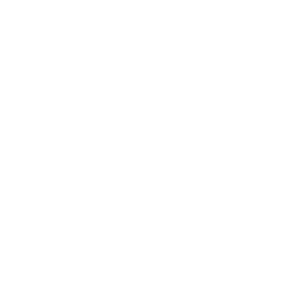 ongoing support & maintenance icon