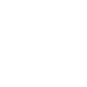 research audit