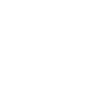 Web application development