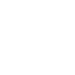 search-icon