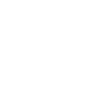 secure icon