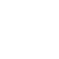 shopify ecommerce store development icon