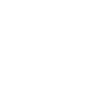 shopify seo setup icon
