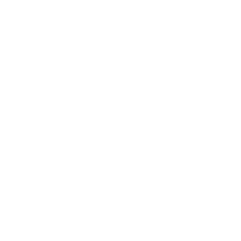 shopify speed optimization