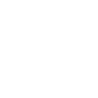 shopify theme design  customization