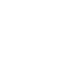 shopping-icon