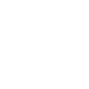speed & performance optimization icon