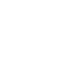 local seo services