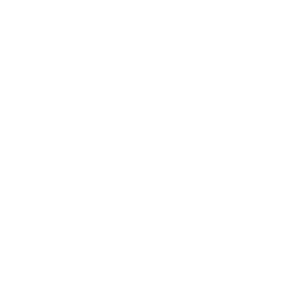 local seo services