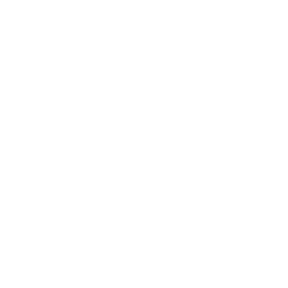 local seo services