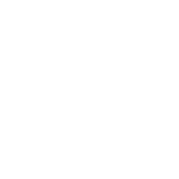 local seo services