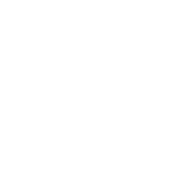 woo store icon