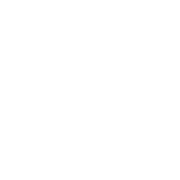 woocommerce & ecommerce development icon
