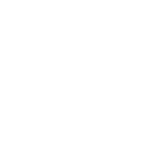 local seo services
