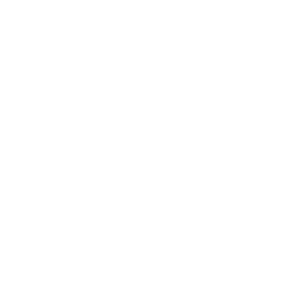 local seo services