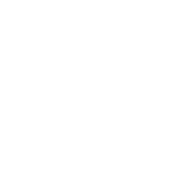 local seo services